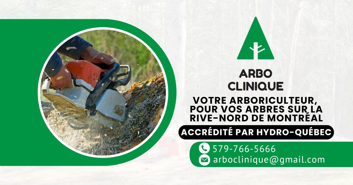 Arboclinique inc