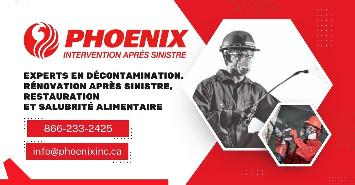 Phoenix Intervention