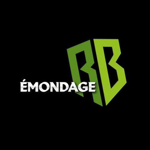 Émondage RB - Entreprise Spécialisée en Arboriculture à La tuque