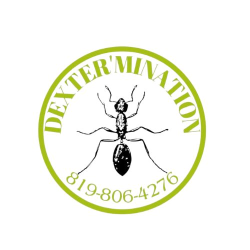 DexterMination - Entreprise spécialisée en extermination et gestion parasitaire à Drummondville