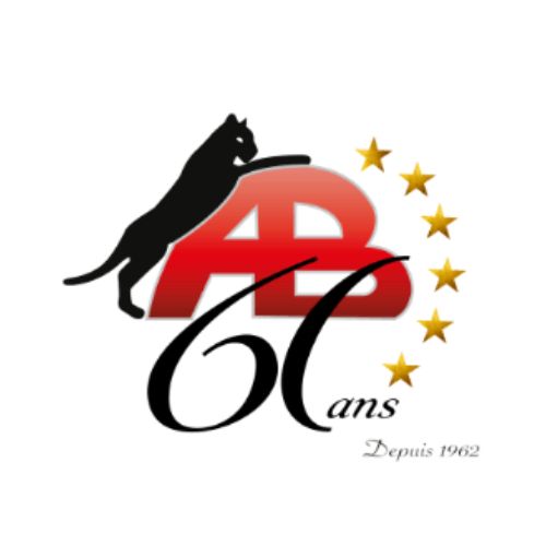 Pavage et aménagement paysager Antonio Borsellino Inc - Entrepreneur pavage, asphaltage à Repentigny